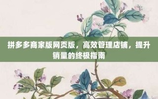 拼多多商家版网页版，高效管理店铺，提升销量的终极指南