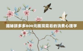 揭秘拼多多800元提现背后的消费心理学