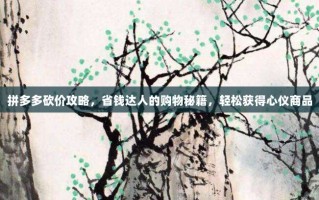 拼多多砍价攻略，省钱达人的购物秘籍，轻松获得心仪商品