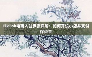TikTok电商入驻步骤详解：如何开设小店并支付保证金