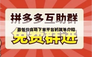 最低价自助下单平台的简单介绍