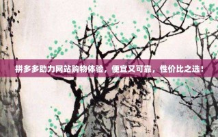 拼多多助力网站购物体验，便宜又可靠，性价比之选！