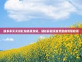拼多多天天领红包提现攻略，轻松获取现金奖励的完整指南
