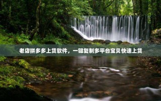老店拼多多上货软件，一键复制多平台宝贝快速上货