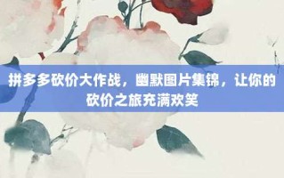 拼多多砍价大作战，幽默图片集锦，让你的砍价之旅充满欢笑