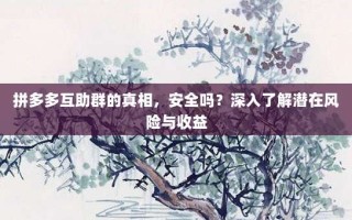 拼多多互助群的真相，安全吗？深入了解潜在风险与收益