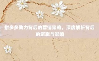 拼多多助力背后的营销策略，深度解析背后的逻辑与影响