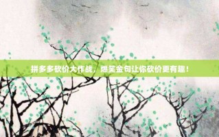 拼多多砍价大作战，爆笑金句让你砍价更有趣！