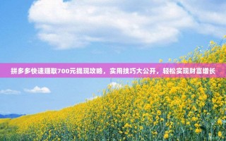 拼多多快速赚取700元提现攻略，实用技巧大公开，轻松实现财富增长