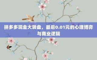 拼多多现金大转盘，最后0.01元的心理博弈与商业逻辑