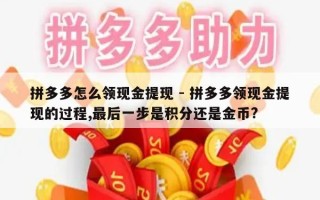 拼多多怎么领现金提现 - 拼多多领现金提现的过程,最后一步是积分还是金币?