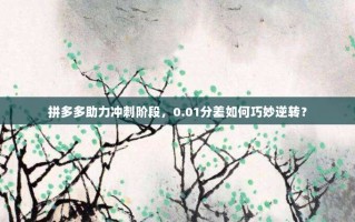拼多多助力冲刺阶段，0.01分差如何巧妙逆转？