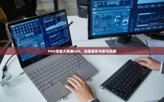 PDD现金大转盘500，深度解析与参与攻略