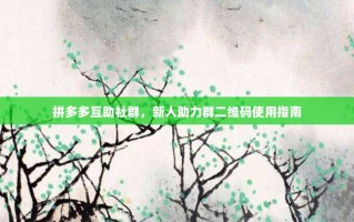 拼多多互助社群，新人助力群二维码使用指南