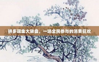 拼多现金大转盘，一场全民参与的消费狂欢