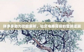 拼多多助力功能解析，社交电商背后的营销逻辑