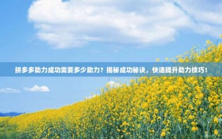 拼多多助力成功需要多少助力？揭秘成功秘诀，快速提升助力技巧！