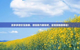 拼多多砍价互助群，微信助力群贴吧，省钱购物新体验！