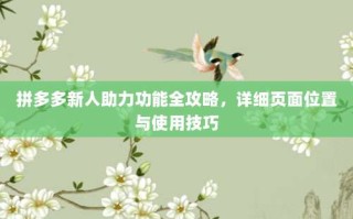 拼多多新人助力功能全攻略，详细页面位置与使用技巧
