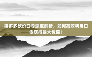 拼多多砍价口令深度解析，如何高效利用口令获得最大优惠？