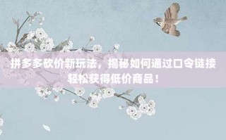 拼多多砍价新玩法，揭秘如何通过口令链接轻松获得低价商品！
