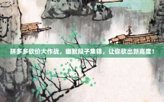 拼多多砍价大作战，幽默段子集锦，让你砍出新高度！
