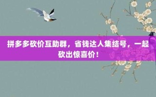 拼多多砍价互助群，省钱达人集结号，一起砍出惊喜价！