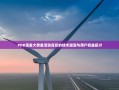 PDD现金大转盘活动背后的技术漏洞与用户权益探讨