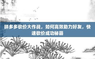 拼多多砍价大作战，如何高效助力好友，快速砍价成功秘籍