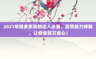 2021年拼多多购物达人必备，高效助力神器，让你省钱又省心！