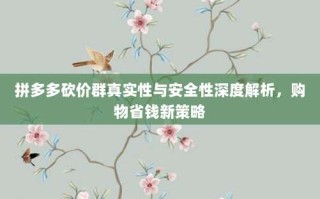 拼多多砍价群真实性与安全性深度解析，购物省钱新策略