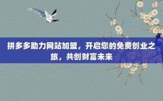 拼多多助力网站加盟，开启您的免费创业之旅，共创财富未来