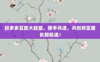 拼多多互助大联盟，携手共进，共创财富增长新机遇！