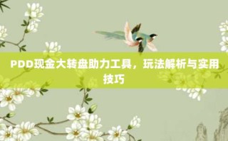 PDD现金大转盘助力工具，玩法解析与实用技巧