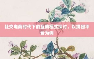 社交电商时代下的互助模式探讨，以拼团平台为例