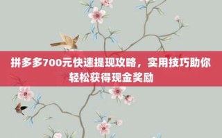 拼多多700元快速提现攻略，实用技巧助你轻松获得现金奖励