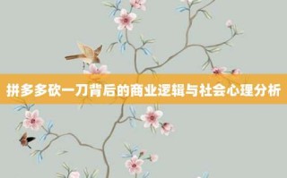 拼多多砍一刀背后的商业逻辑与社会心理分析