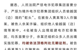 最高法公布电诈典型案例，肖某诚案凸显保护未成年人紧迫性