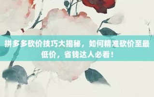 拼多多砍价技巧大揭秘，如何精准砍价至最低价，省钱达人必看！