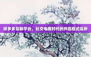 拼多多互助平台，社交电商时代的共赢模式探析