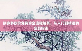拼多多砍价免费拿全流程解析，从入门到精通的实战指南