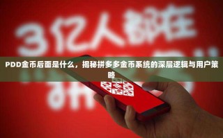 PDD金币后面是什么，揭秘拼多多金币系统的深层逻辑与用户策略