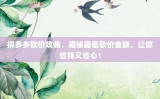 拼多多砍价攻略，揭秘最低砍价金额，让你省钱又省心！