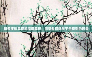 拼多多砍单现象深度解析，消费者权益与平台规则的较量