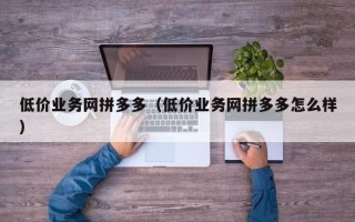 低价业务网拼多多（低价业务网拼多多怎么样）
