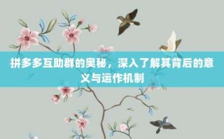 拼多多互助群的奥秘，深入了解其背后的意义与运作机制