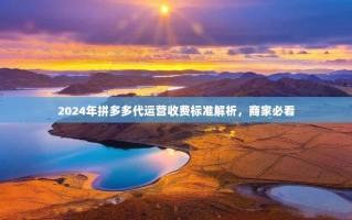 2024年拼多多代运营收费标准解析，商家必看
