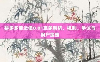 拼多多幸运值0.01现象解析，机制、争议与用户策略