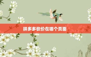 拼多多砍价在哪个页面 