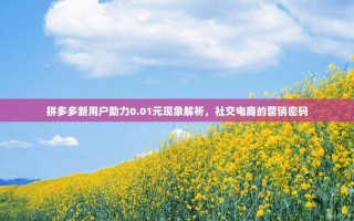 拼多多新用户助力0.01元现象解析，社交电商的营销密码